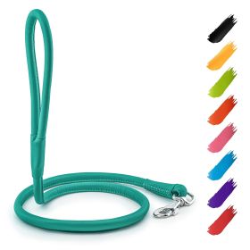 Rolled Leather Dog Leash 4Ft * 0.4 in for Small Medium and Large Dogs Heavy Duty Leather Puppy Leash for Outdoor Walking Running Training Mint Co