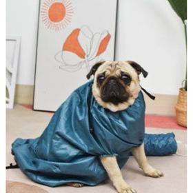 Automatic Drying Bag With Quick Drying Hair Dryer For Bathing (Option: M-Blue)